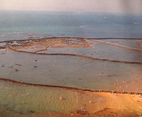 Chipiona fishing corals