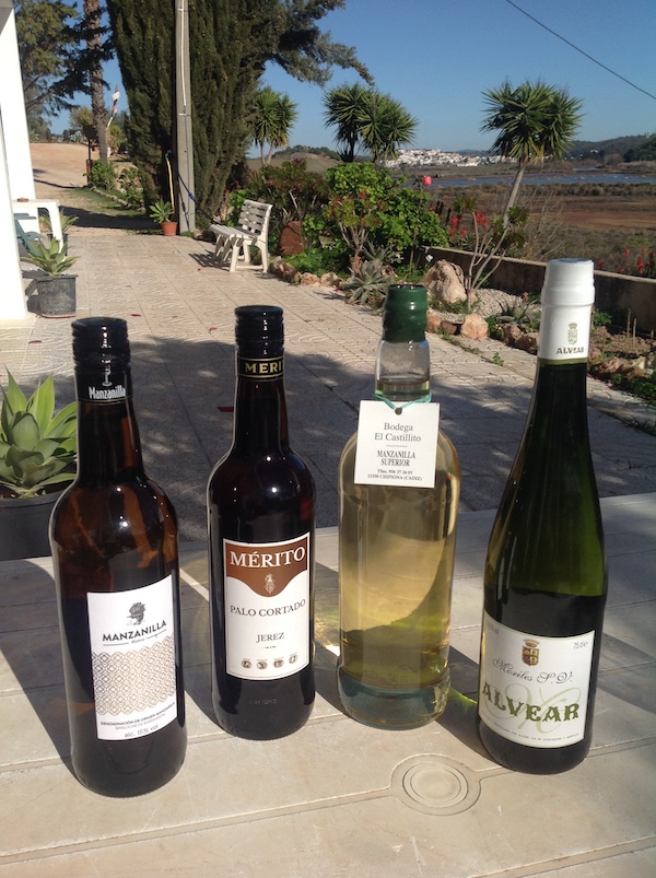 Differing types of wine from the
          Jerez region
