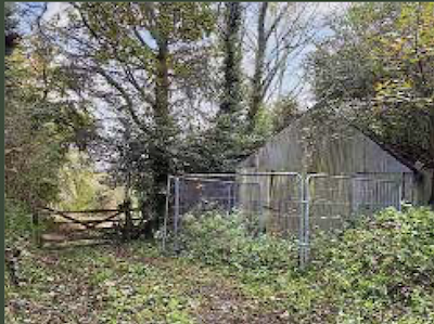 Woodland for sale