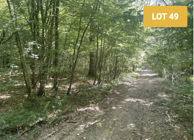 Woodland for sale
