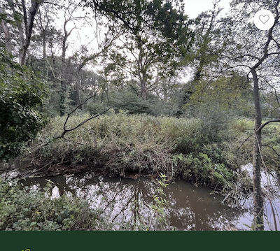 Woodland for sale