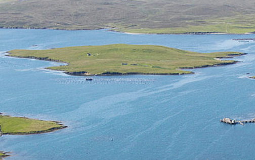 Scottish island for sale