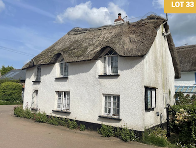 Thatched cottage for sale