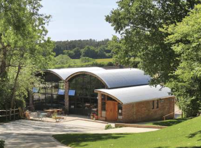 Vineyard for sale