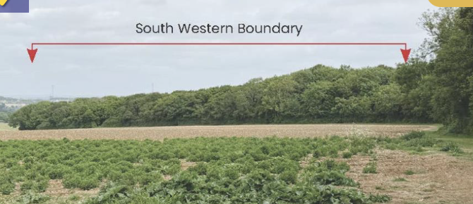 Woodland for sale