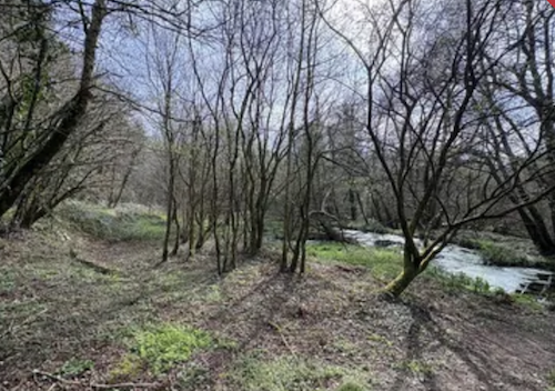 Woodland for sale