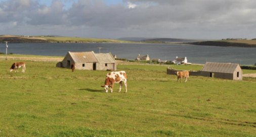 Building plots for sale on Orkney Isles