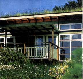 Grass roofed houses